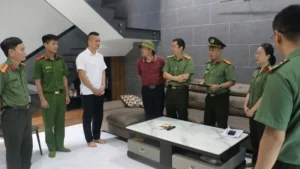Chi tiết hành vi vi phạm
