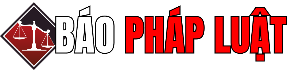 Pháp luật
